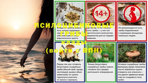 дживик Коряжма