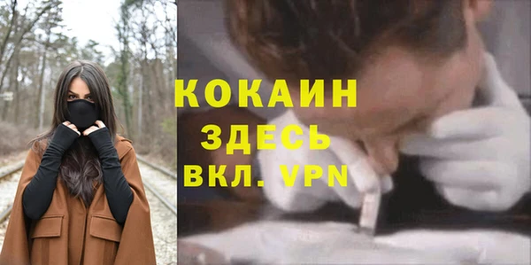 дживик Коряжма