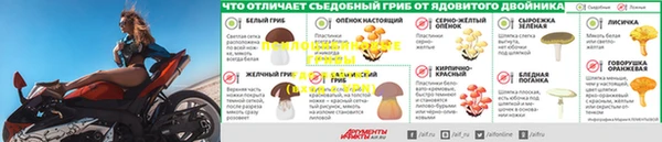 jwh Кодинск