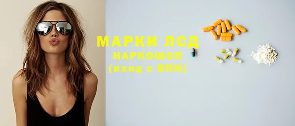 сатива Козельск