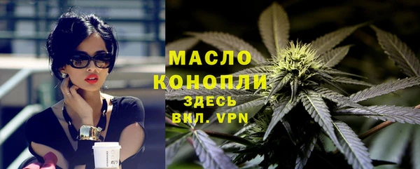 сатива Козельск