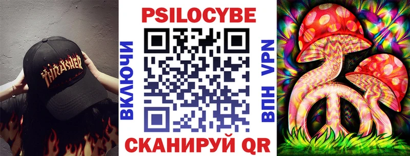 Псилоцибиновые грибы Psilocybe  Купить  Вольск 